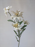203889-100 Silk Edelweiss Flower Stem - German Specialty Imports llc