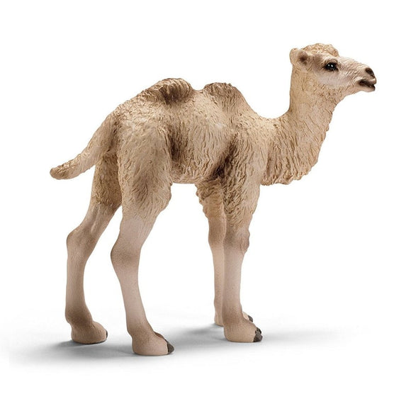 Hand Painted Schleich Camel - Two Humped  Foal 14602 Play Figurine - German Specialty Imports llc