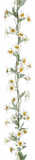 204872-100 Silk Edelweiss Flower Garland