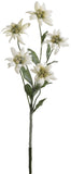 204873-100 # Silk Edelweiss Flower Stem