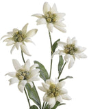 204873-100 # Silk Edelweiss Flower Stem