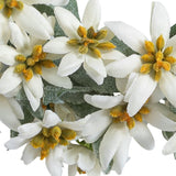204875-100 For Preorder Only Silk Edelweiss Flower wreath 11.811 " diameter
