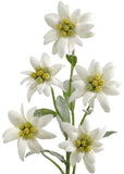 204889-100 # Silk Edelweiss Flower Stem