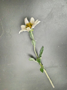 Silk Edelweiss Flower Stem with 1 flower - German Specialty Imports llc