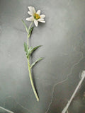 Silk Edelweiss Flower Stem with 1 flower - German Specialty Imports llc