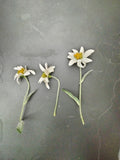 Short Single Silk Edelweiss Flower Stem with 1 flower - German Specialty Imports llc