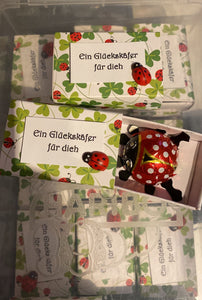 Ein Glueckskaefer Fuer Dich"  / "A lucky Bug for you" Hand made Gift Box with Riegelein Solid Choco Lady Bug - German Specialty Imports llc