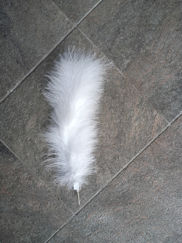 Vorplattler white Feather
