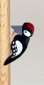 Lotte Sievers Hahn  Hand Carved  Bird Woodpecker - German Specialty Imports llc