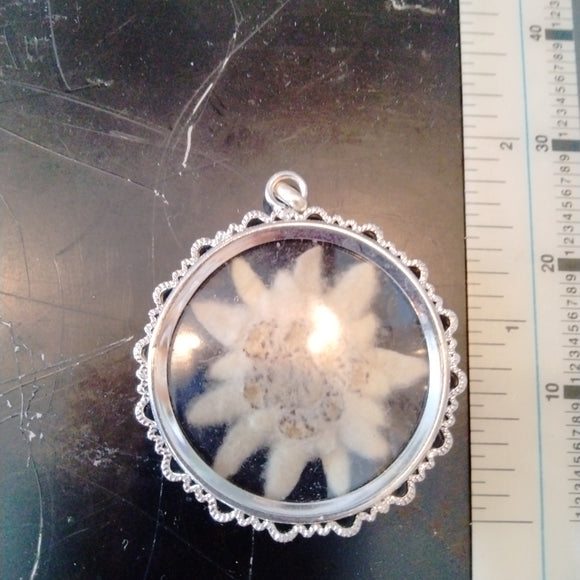 Silver Real Edelweiss Round Pendant - German Specialty Imports llc