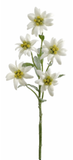 203889-100 Silk Edelweiss Flower Stem - German Specialty Imports llc