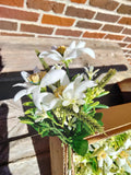Silk Edelweiss  Flower Broche - German Specialty Imports llc
