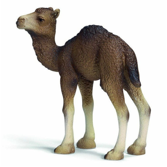 Hand Painted Schleich - Dromedary Foal 14356 Play Figurine - German Specialty Imports llc